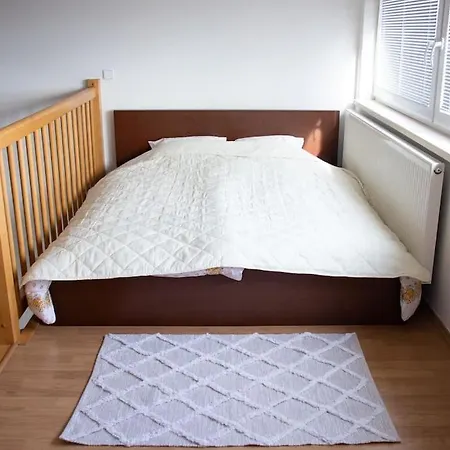 Appartement One Stop From Airport Brno